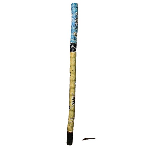 Aboriginal eucalyptus wood - eucalyptus,